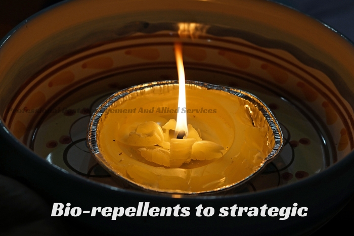 Close-up of a lit citronella candle, a natural bio-repellent, part of pest management strategies by Professional Pest Management And Allied Services Pvt. Ltd. in Chennai