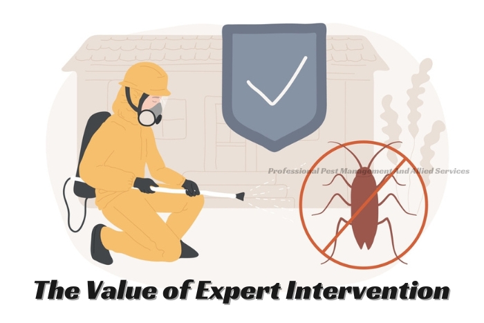 Certified pest control technician from Professional Pest Management And Allied Services Pvt. Ltd. in action, demonstrating the value of expert intervention in pest extermination in Chennai