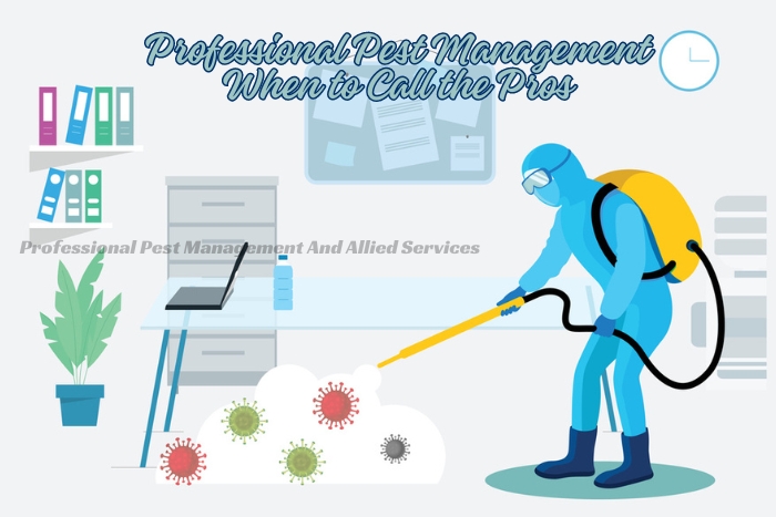 Professional pest control expert from Professional Pest Management And Allied Services Pvt. Ltd. in action, demonstrating when to call the pros for pest management in an office environment in Chennai.