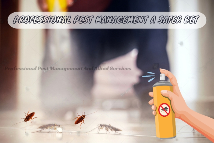 Hand holding a spray can targeting cockroaches on a home floor, exemplifying Professional Pest Management And Allied Services Pvt. Ltd.'s safe pest control methods in Chennai