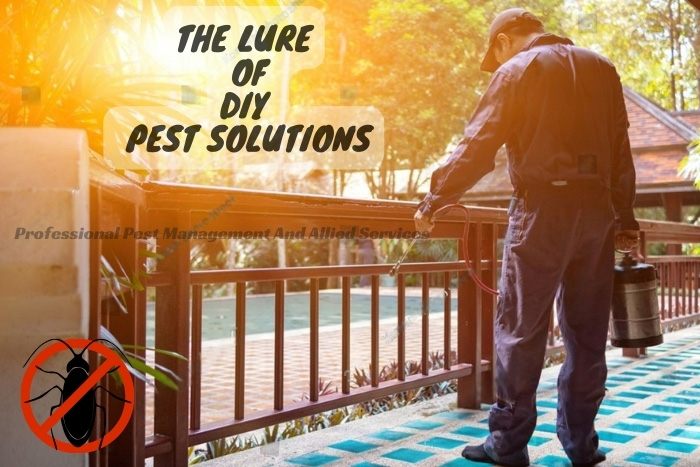 Certified pest control technician from Professional Pest Management And Allied Services Pvt. Ltd. in action, demonstrating the value of expert intervention in pest extermination in Chennai