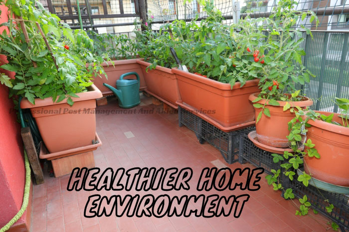 Lush balcony garden with various plants contributing to a healthier home environment, promoted by Professional Pest Management And Allied Services Pvt. Ltd. in Chennai.