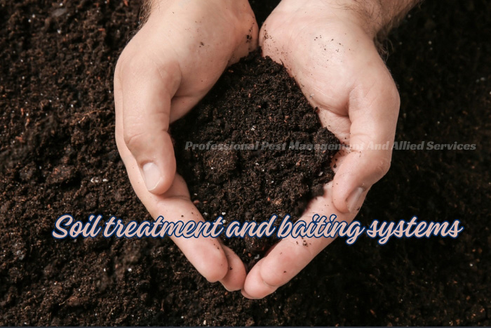 Hands cupping rich soil representing Professional Pest Management And Allied Services Pvt. Ltd.'s soil treatment and baiting systems for pest control in Chennai.
