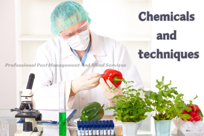 Scientist testing the effectiveness of pest control chemicals and techniques on produce, ensuring safe and healthy pest management solutions by Professional Pest Management And Allied Services Pvt. Ltd. in Chennai.