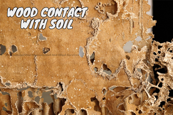 Damaged wood showing termite infestation, a reminder of the risks of wood contacting soil, with solutions available from Professional Pest Management And Allied Services Pvt. Ltd. in Chennai.