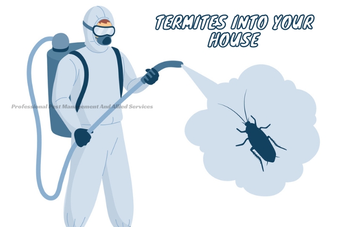 Pest control expert from Professional Pest Management And Allied Services Pvt. Ltd. in action, providing specialized termite extermination services to protect homes in Chennai.