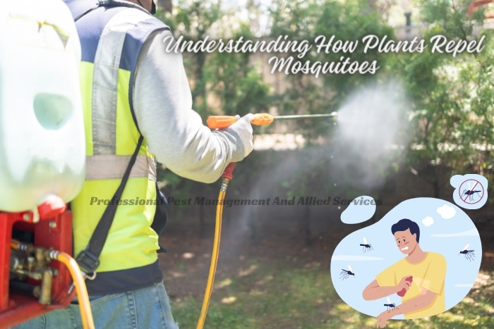 Garden mosquito treatment underway by a skilled operator from Chennai's Professional Pest Management And Allied Services Pvt. Ltd., specializing in natural repellent methods.
