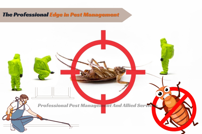 Pest control professionals in action, symbolizing the targeted cockroach extermination services offered by Professional Pest Management And Allied Services Pvt. Ltd. in Chennai.