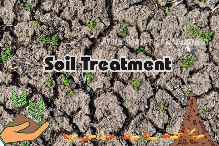 Dry soil surface with 'Soil Treatment' text, termite icons, and hand holding soil, emphasizing Professional Pest Management's soil treatment services in Chennai for effective termite control