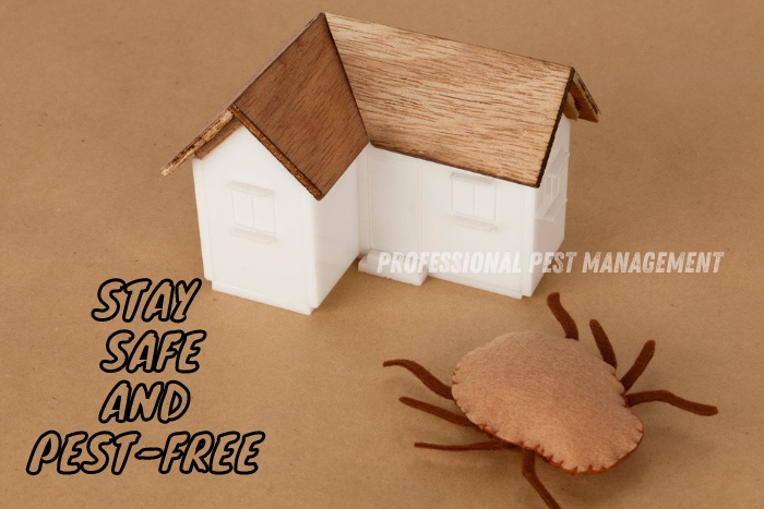 Model house with wooden roof beside a toy tick on a craft paper background, with 'Stay Safe and Pest-Free' message and Professional Pest Management logo, promoting effective pest control services in Chennai