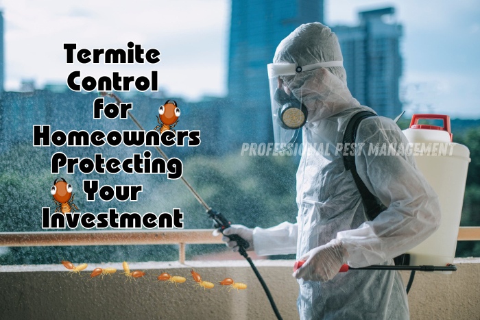 Pest control technician in protective gear spraying balcony with 'Termite Control for Homeowners: Protecting Your Investment' text, promoting Professional Pest Management's termite control services in Chennai
