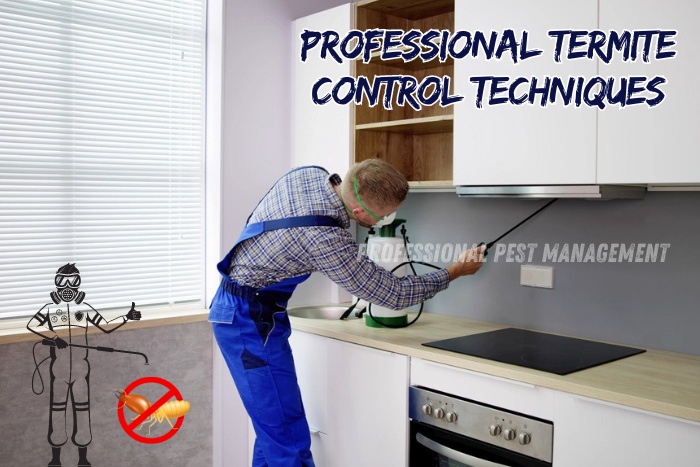 Pest control technician treating kitchen cabinets with 'Professional Termite Control Techniques' text, promoting Professional Pest Management's termite control services in Chennai