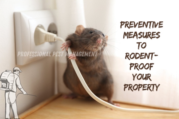 Rat chewing on an electrical cord with 'Preventive Measures to Rodent-Proof Your Property' text, promoting Professional Pest Management's rodent prevention services in Chennai