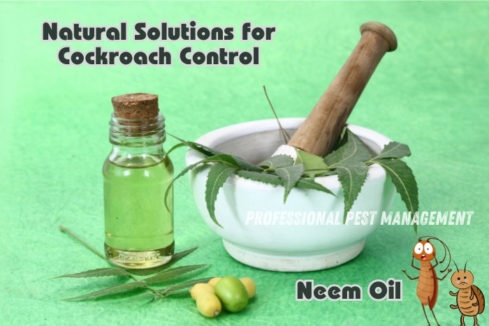 Neem oil and leaves with 'Natural Solutions for Cockroach Control' text, promoting Professional Pest Management's natural pest control services in Chennai. Effective use of neem oil for eco-friendly cockroach eradication. Professional Pest Management provides safe and natural pest control solutions