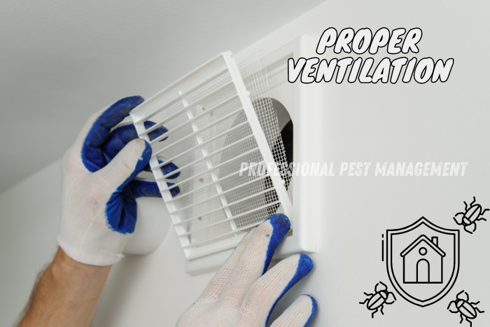 Ensuring proper ventilation to prevent pest infestations in your Chennai home. Professional Pest Management provides expert solutions for a pest-free living environment