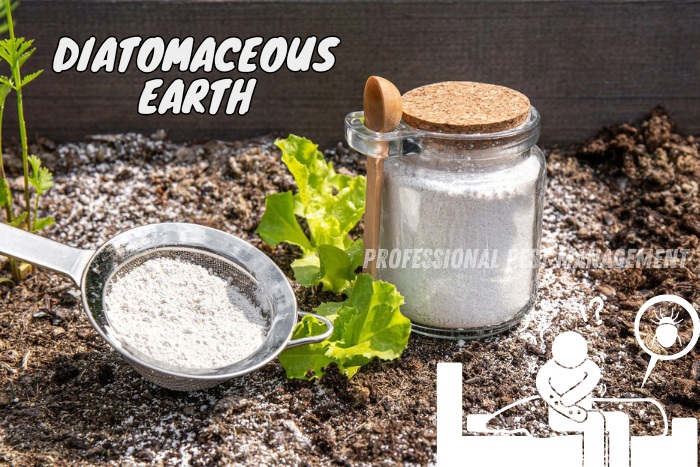 Jar and sieve of diatomaceous earth used for pest control with 'Diatomaceous Earth' text. Promoting Professional Pest Management's natural pest control solutions in Chennai