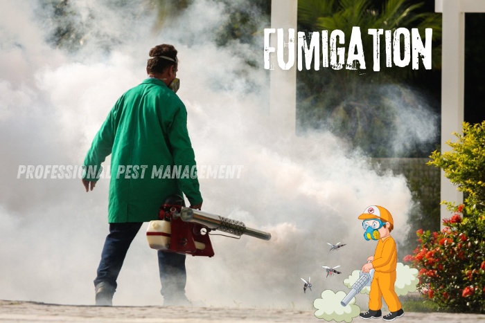 Pest control professional performing fumigation with 'Fumigation' text, promoting Professional Pest Management's fumigation services in Chennai