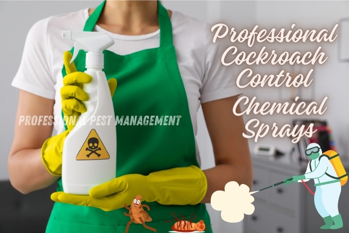 Person holding a chemical spray bottle with 'Professional Cockroach Control Chemical Sprays' text, promoting Professional Pest Management's cockroach control services in Chennai. Effective chemical treatments for eliminating cockroach infestations. Professional Pest Management ensures safe and thorough cockroach eradication