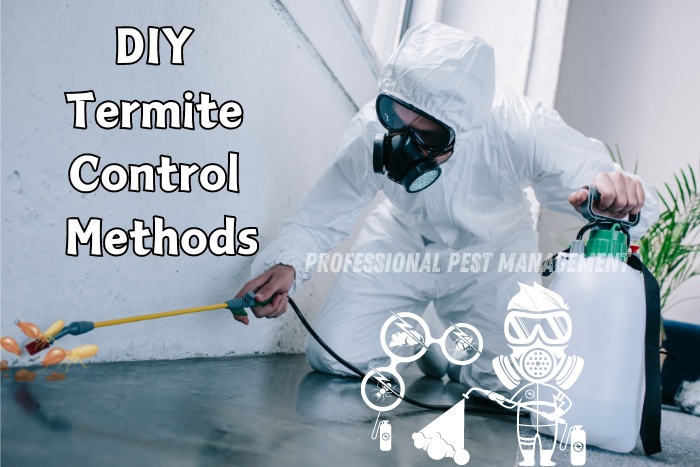 Pest control expert applying DIY termite treatment with 'DIY Termite Control Methods' text, promoting Professional Pest Management's termite solutions in Chennai. Affordable and effective DIY termite control techniques for homeowners. Professional Pest Management offers guidance and products to keep your home termite-free