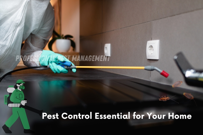 Ensure a pest-free home in Chennai with Professional Pest Management's essential pest control services. Safeguard your family and property from unwanted invaders today