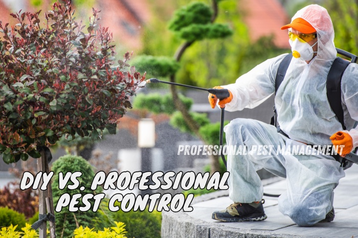 Professional Pest Management And Allied Services Pvt. Ltd - Chennai's trusted choice for pest control. Compare DIY vs. professional pest control solutions and ensure your home or garden is free from unwanted pests. Reliable, safe, and effective pest management services tailored to your needs.