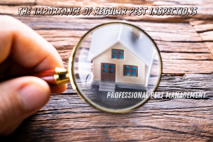 Regular pest inspections are crucial for maintaining a healthy home environment. Schedule your inspection with Professional Pest Management and Allied Services Pvt. Ltd. in Chennai today!