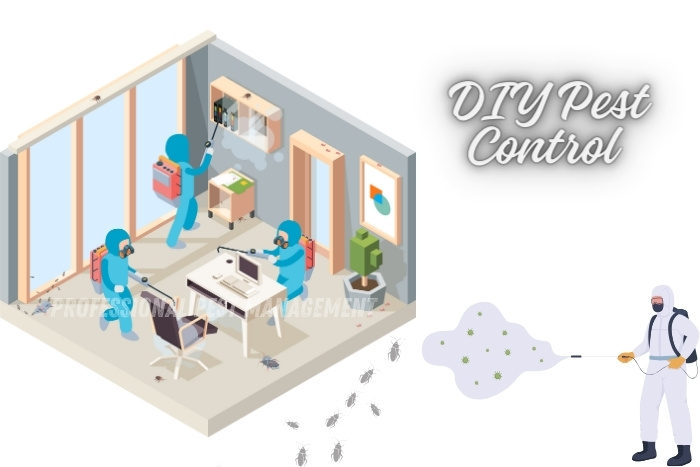 Explore DIY pest control tips to keep your home in Chennai pest-free. Trust Professional Pest Management for expert advice and solutions to all your pest problems!