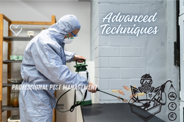 Professional Pest Management And Allied Services Pvt. Ltd in Chennai employs advanced techniques for comprehensive pest control. Our experts use the latest equipment and methods to efficiently tackle various pests, ensuring a safe and pest-free environment for your home or business