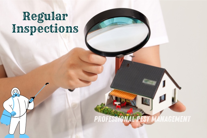 Professional Pest Management And Allied Services Pvt. Ltd in Chennai offers thorough regular inspections to ensure your home stays pest-free and safe year-round