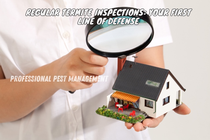 Regular termite inspections are your first line of defense against infestations. Trust Professional Pest Management And Allied Services Pvt. Ltd. in Chennai for expert termite protection and peace of mind