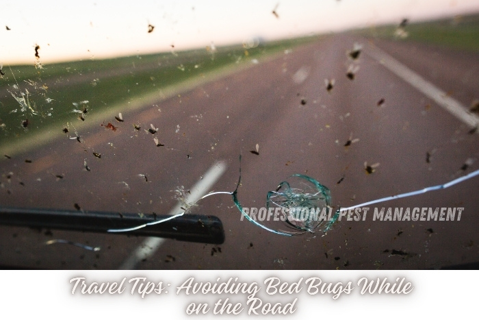 Professional Pest Management And Allied Services Pvt. Ltd in Chennai shares essential travel tips to help you avoid bed bugs while on the road, ensuring a pest-free journey