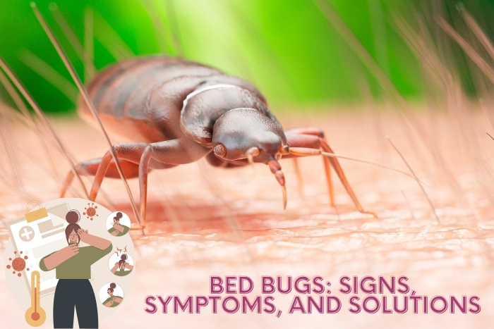 Close-up image of a bed bug on human skin, representing the need for professional bed bug control services in Chennai. Learn to identify signs, symptoms, and effective solutions for bed bug infestations with Professional Pest Management And Allied Services Pvt. Ltd.