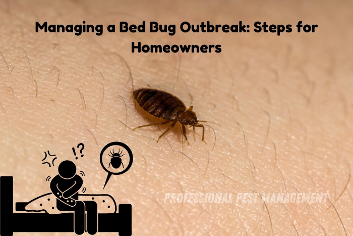 Close-up of a bed bug on human skin, highlighting the need for expert pest management. Professional Pest Management And Allied Services Pvt. Ltd. in Chennai offers effective solutions for managing bed bug outbreaks