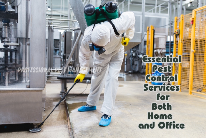 Professional Pest Management And Allied Services Pvt. Ltd. provides essential pest control services for both home and office. The image shows a technician in protective gear applying pest control measures in a commercial kitchen setting. This highlights our dedication to ensuring a pest-free environment in various settings throughout Chennai, catering to both residential and commercial needs