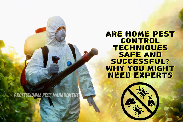 Professional Pest Management And Allied Services Pvt. Ltd. addresses the safety and effectiveness of home pest control techniques. The image features a technician in protective gear applying pest control solutions in a garden setting. This highlights the importance of expert intervention for effective pest management, ensuring safe and successful outcomes for homeowners in Chennai.