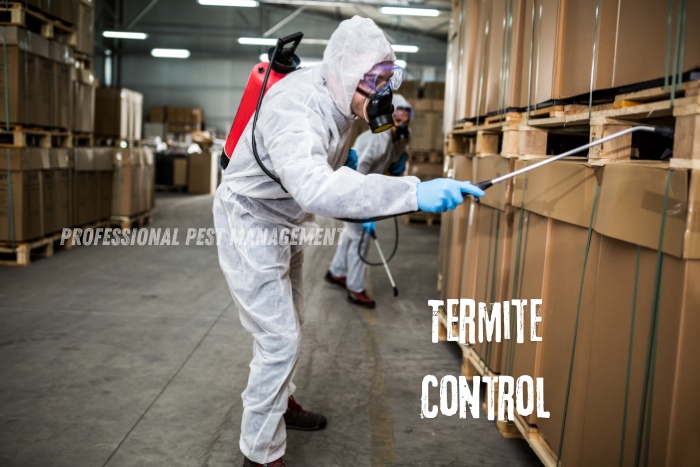 Professional Pest Management And Allied Services Pvt. Ltd. specializes in termite control. The image depicts technicians in protective gear applying treatment to control termites in a warehouse. This highlights our commitment to safeguarding properties in Chennai from termite damage, ensuring effective pest management solutions for both residential and commercial spaces.