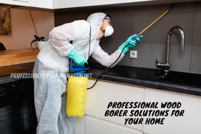 Professional Pest Management And Allied Services Pvt. Ltd. offers professional wood borer solutions for your home. The image shows a technician applying treatment to prevent wood borer infestations in a kitchen area, emphasizing our commitment to protecting your wooden structures. This service is essential for homeowners in Chennai to maintain a safe and pest-free living environment