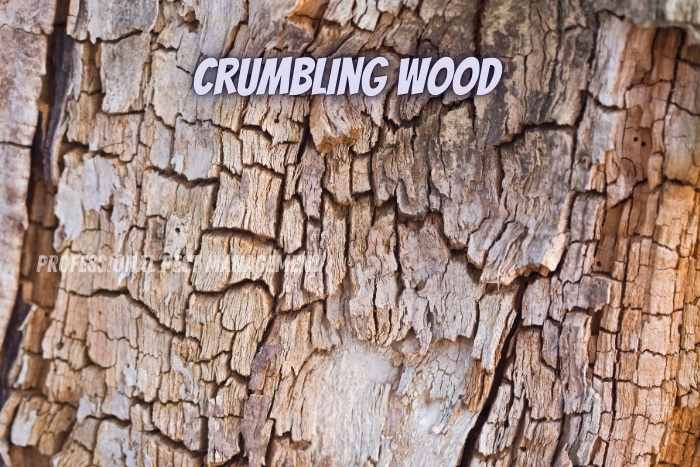 Professional Pest Management And Allied Services Pvt. Ltd. emphasizes the significance of crumbling wood as a sign of pest damage. The image shows a close-up of crumbling wood, indicating potential infestation and deterioration. Recognizing these signs is crucial for homeowners in Chennai to address pest issues promptly and protect their properties