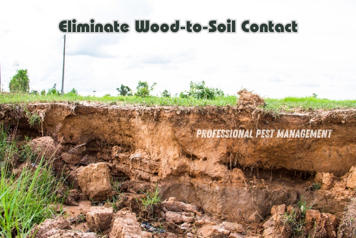 Professional Pest Management And Allied Services Pvt. Ltd. emphasizes the importance of eliminating wood-to-soil contact to prevent termite infestations. The image shows an exposed soil area where wood is in contact with the ground, illustrating a potential risk for pest problems. Homeowners in Chennai are encouraged to take proactive measures to protect their properties by maintaining proper wood placement